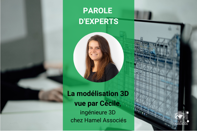 Modélisation 3D Cécile Hamel Associés